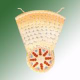 MONOCOT ROOT T.S.